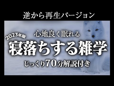 【逆から再生】寝落ちする雑学【リラックス】いつもより深い睡眠を♪