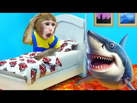 KiKi Monkey deals with The Floor is Lava Challenge to take Watermelon Ice Cream | KUDO ANIMAL KIKI