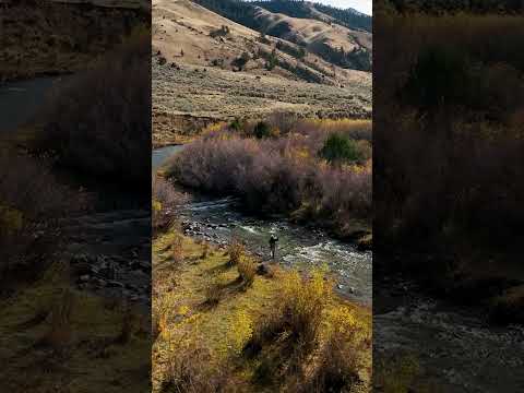 Elk Meadows Ranch | #Montana #ranches #landforsale #realestate