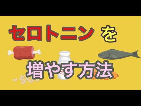 セロトニンを増やす方法（切り抜き）