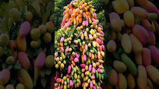 best technique how to plant to grow mango tree by cuttings.#growingfruits