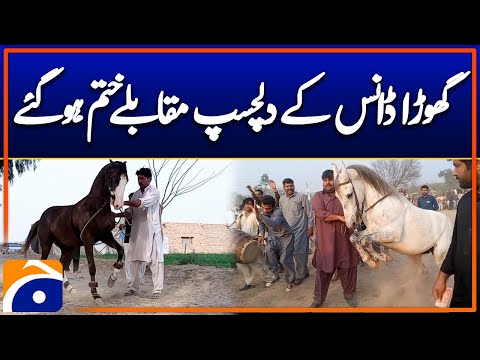 Exciting horse dance competition ends in Sargodha | Geo News