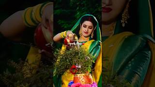 fulge chiraya | gaura Gauri | Tulsi Vivah |dev uthni #kavitavasnik #diwali #trending #short #ytshort