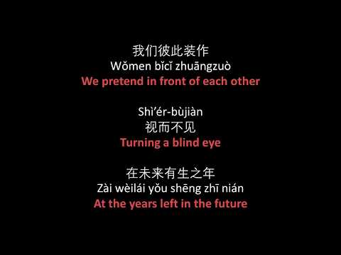 谭维维 - 视而不见 // Sitar Tan - Shi Er Bu Jian, lyrics, pinyin, English translation