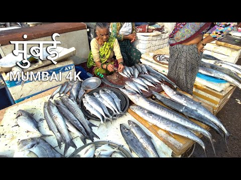 MUMBAI, Sassoon Dock Walking Tour - Fish Market Life 4K HDR