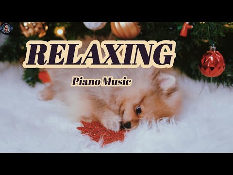 Find Your Inner Peace with Relaxing Piano Melodies 💫|Relaxing- Silent Night Piano