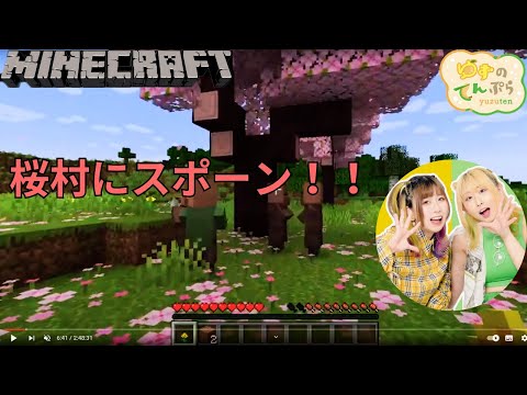 超初心者と１５年ブランクでMineCraft【ゲーム】