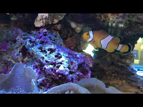 水族缸 / 台電南部展示館