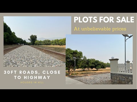 BEST AND AFFORDABLE PLOTS FOR SALE IN DEHRADUN | GREENERY AND NATURE | 💯FOR INVESTMENT AND RESORTS