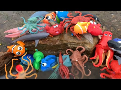 Megan's World: Sea Animal Toys by the River - Fun Playtime