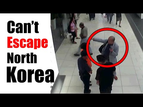 The Man Who ALMOST Escaped North Korea