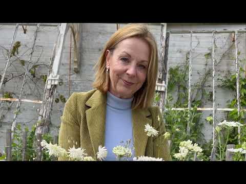 Create a pot plant display using edibles for summer colour