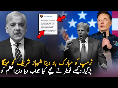 Shahbaz Sharif In Trouble To Congratulate Trump, Report | Elon Musk | Pak News Report