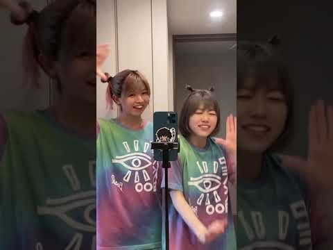 女性TikToker日本2位のゆーりとコラボ💙【ゆーり×難聴うさぎ】【過去TikTok】