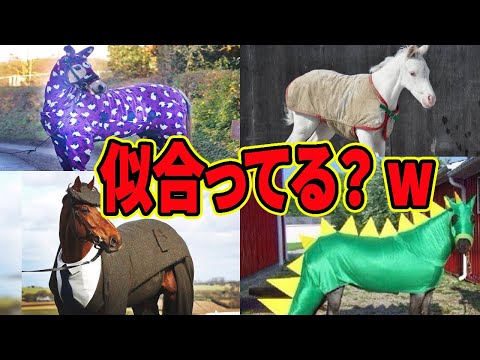 【必見】どれが好き？お馬さんのファッションショー開催wwに対するみんなの反応集【競馬の反応集】