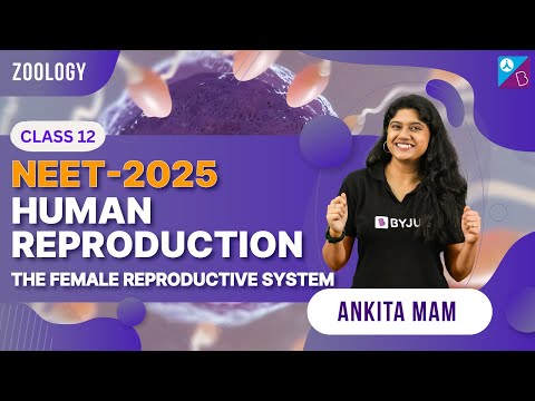 Human Reproduction | The Female ReproductiveSystem | NEET 2025 | Ankita Mam