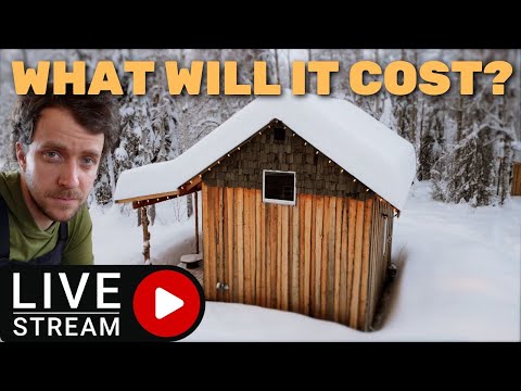 Pricing Out A Small Off-Grid Cabin Build In 2023...LIVE!