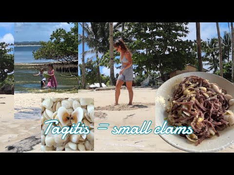 Harvesting clams (tagitis) and cooking with it!