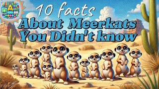 The 10 Most Amazing Facts About Meerkats | Interesting Facts | Animal and insect facts 2024