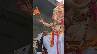 Mumbai cha Morya aagman sohala 2024 || Ganpati Bappa Morya #aagmansohala #2024 #shorts #viralshorts