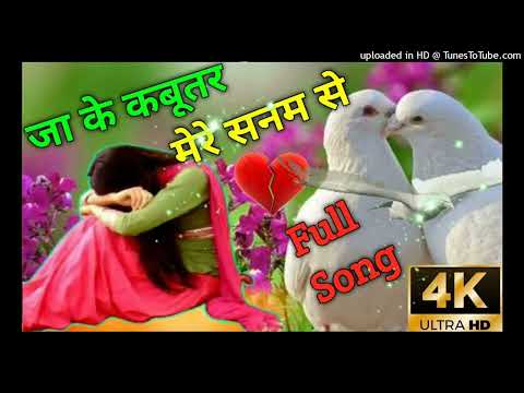 जा कबूतर मेरे सनम से इतना कह देना वीडियो गाना _ ja ke kabutar mere sanam se itna keh dena song_128K)