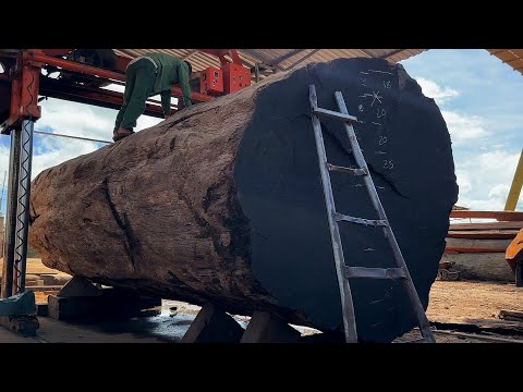 Wood Cutting Skills//Ironwood Trees Have Super Beautiful Grain