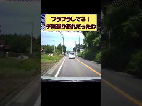 真昼間から飲酒か？ってくらいに蛇行してる車😡やっぱりあれだったわ👊※途中まで無音です。#危険行為 #危険度max #迷惑 #迷惑ドライバー #迷惑運転 #ドラレコ #拡声器 #ドラレコ動画 #老害