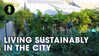 Sustainable City Living on 1/10th of an Acre | Degrowth in the Suburbs