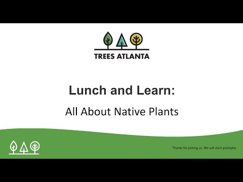 Lunch and Learn: Native Plants for your Yard