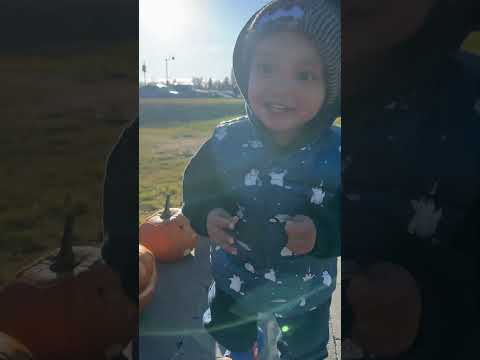 Pumpkin #halloween #pumpkin #music #happyhalloween #october #shortvideo #shorts #babyboy #babyshorts