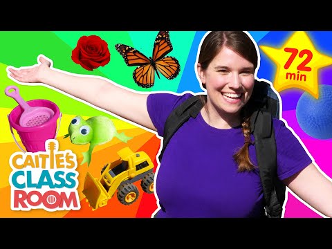 Learn Colors & More! | Caitie's Classroom Field Trips | Toddler Learning