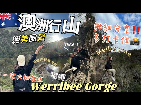 🇦🇺澳洲行山好去處｜輕鬆去墨爾本郊遊😍絕美《Werribee Gorge》好玩刺激全攻略～跨河+攀繩🥰一家大細都ok+尋找瀕臨絕種鴨嘴獸🦦打卡市中心開車一小時到達🚗  #澳洲生活 #墨爾本好去處