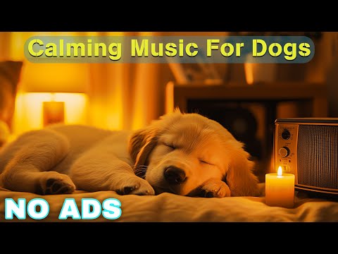 12 Hours of Dog Calming Music for Dogs 🎵 Dog Sleep Music 🐶 Separation Anxiety Relief Music ⭐No Ads