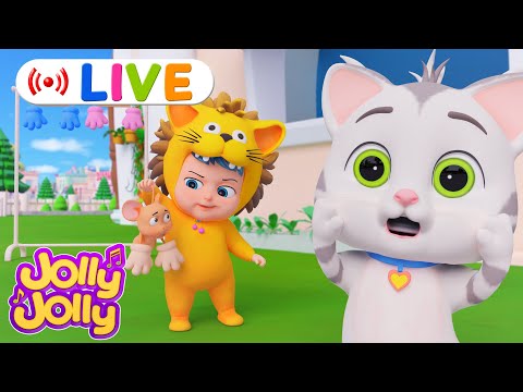 LIVE🔴Three little kittens - New Cat Song + More |  Jolly Jolly & Animals - Best Kids Songs!