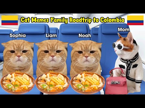 Cat Memes Family Roadtrip to Colombia