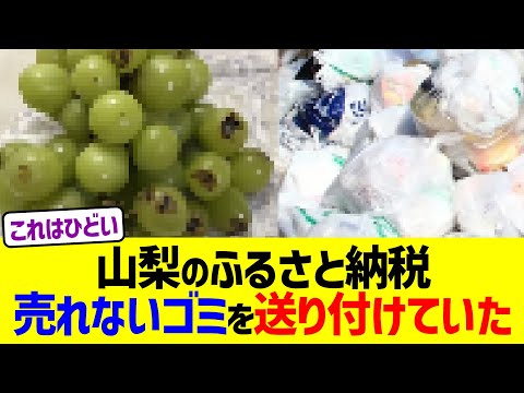 山梨のふるさと納税、売れないゴミを送り付けていたw