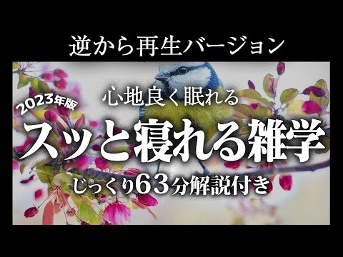 【逆から再生】スッと寝れる雑学【リラックス】とても深い睡眠へ招待します♪