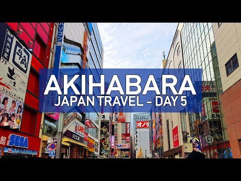 AKIHABARA + GASHAPON + ONE PIECE + MORE! - Japan Travel Vlog Day 5