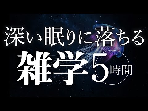 【睡眠導入】深い眠りに落ちる雑学5時間【合成音声】