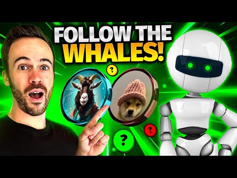 Whales Are Buying These MEME COINS! [Get In Early!]