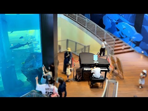 Ravel's "Jeux d'eau" on the Street Piano with an Illusion of Underwater View