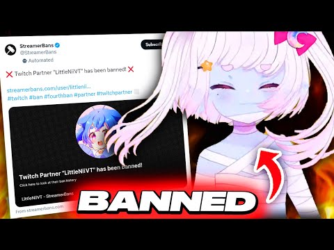 Vtuber Was BANNED Before The Stream Even Happened...