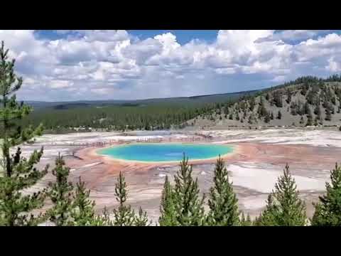 Yellowstone in Summer Time