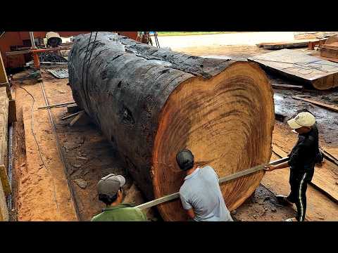 Making Coffee Table From Giant Tree // Biggest Woodworking Project