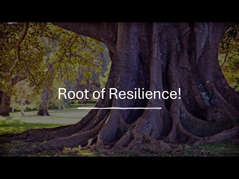 Root Of Resilience | Pastor Wale Olulana | Harmony Christian Centre