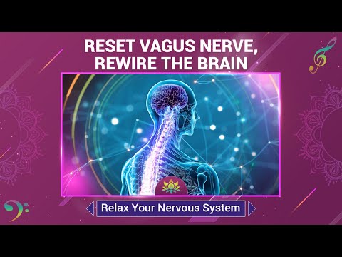 Reset Vagus Nerve, Rewire The Brain - Relax Your Nervous System - Therapeutic Deep Healing Sounds