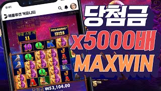 [슬롯머신][강원랜드]💗버팔로 킹 메가웨이즈 x5000배 맥스윈 잭팟당첨!💗Pragmatic play Maxwin💗