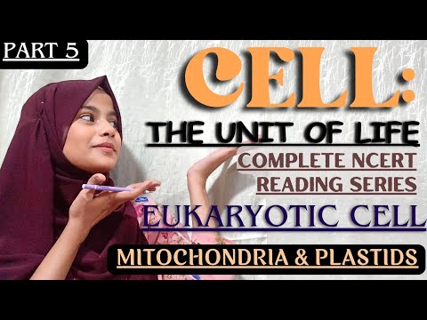 Cell: The Unit of Life (Part 5) | MITOCHONDRIA & PLASTIDS | NCERT Reading | Yasmin Sayyed Official