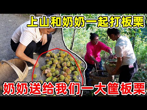 和村里的奶奶一起去山上打板栗，奶奶送了我们一大筐，正好拿来炖排骨