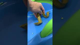 Eel Toy Down Slide